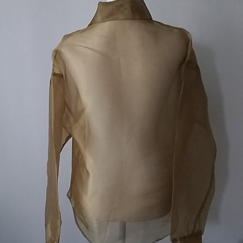 Sheer button down blouse with matching sca… - Picture 4 of 8